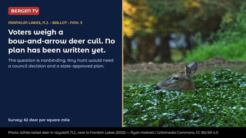 Franklin Lakes, N.J., Votes Nov. 3 on Bow Deer Cull With No Plan Yet